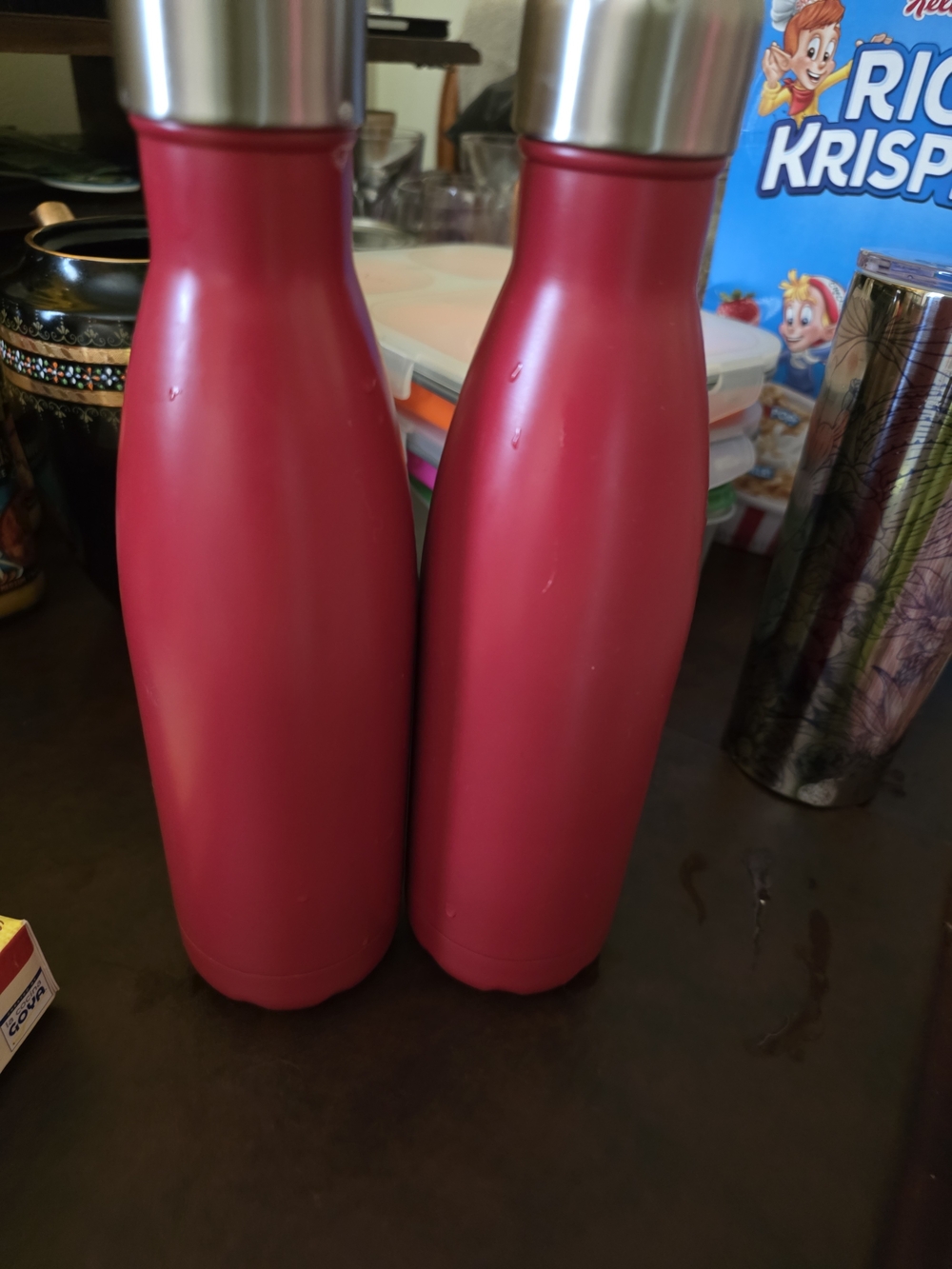 Insulated Stainless Steel Water Bottle - Red